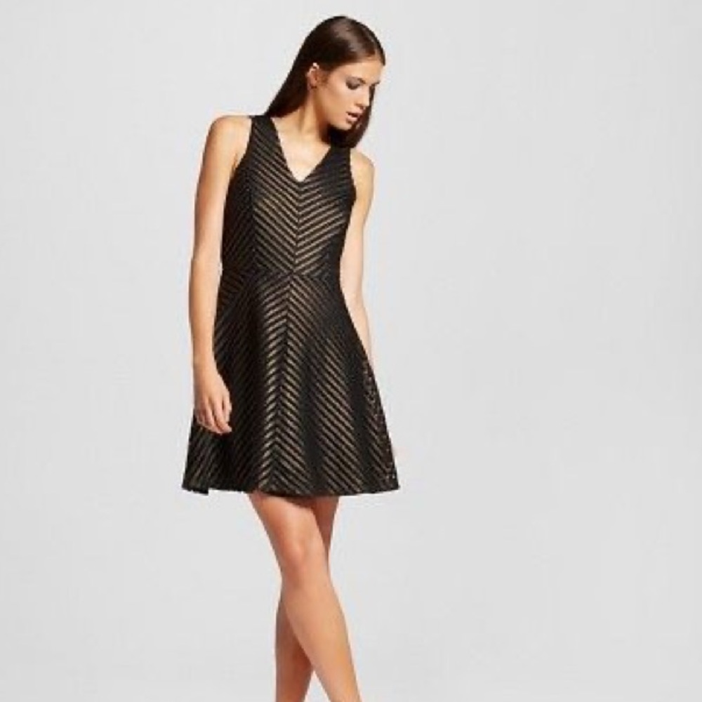 Black and Gold Sleeveless Fit and Flare Dress